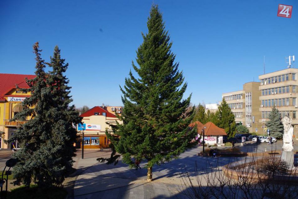 Ilustračný obrázok k článku V Michalovciach už stojí vianočný stromček: Pozrite si FOTO