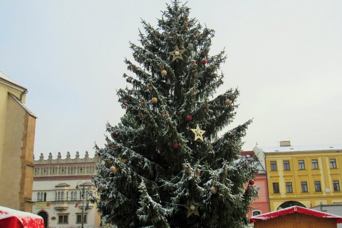 Ilustračný obrázok k článku Opäť sa týči na svojom fleku, toto je on: Prešovský vianočný stromček v OBRAZOCH