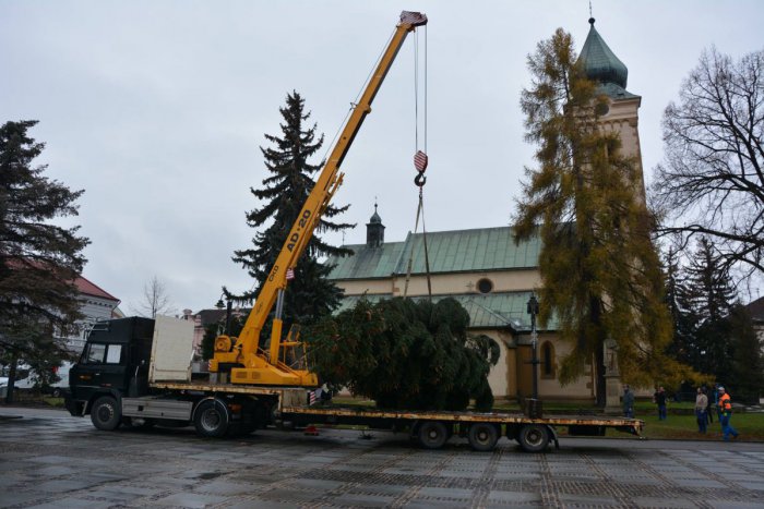 Ilustračný obrázok k článku Vianočný strom putoval celým Mikulášom: Teraz už zdobí centrum mesta, FOTO
