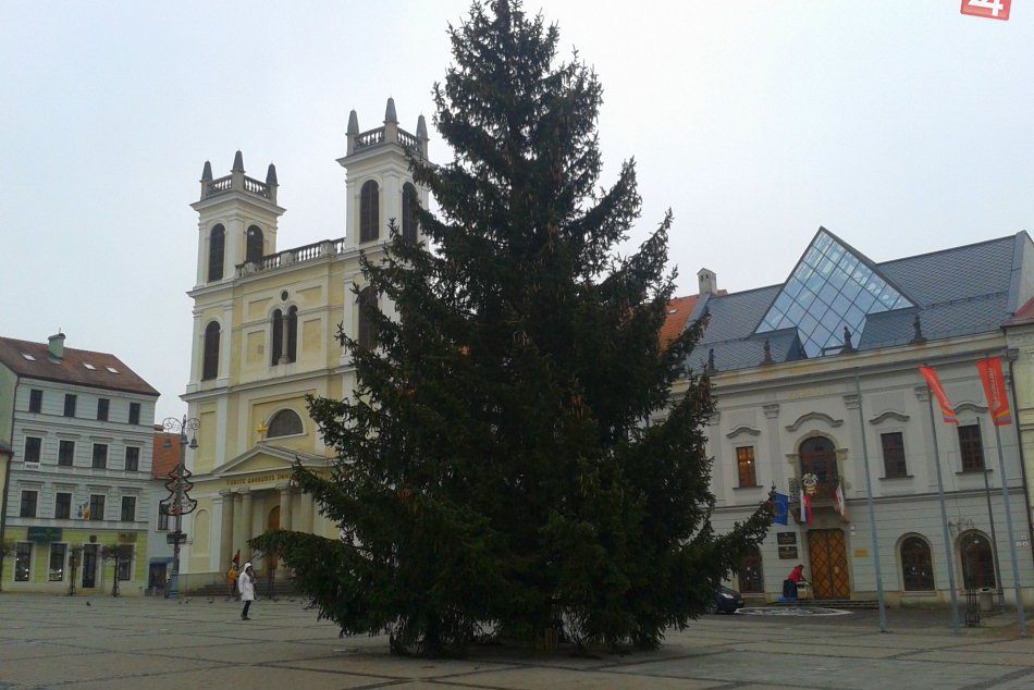 Ilustračný obrázok k článku FOTO: V centre Bystrice pribudol veľký krásavec. Takto vyzerá vianočný stromček