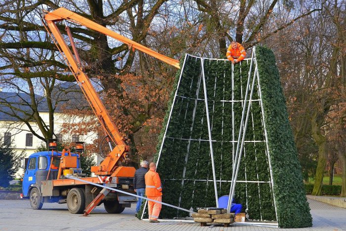 Ilustračný obrázok k článku FOTO VNÚTRI: Na námestí v Humennom už osadili nový vianočný stromček!