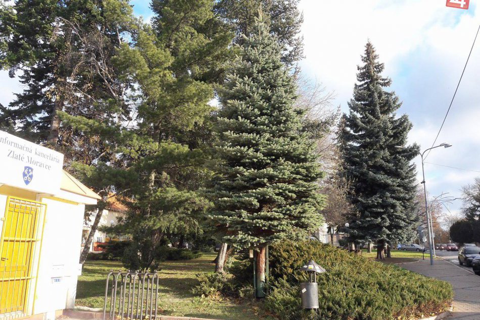 Ilustračný obrázok k článku FOTO: Vianočný stromček už zdobí zlatomoravecké námestie