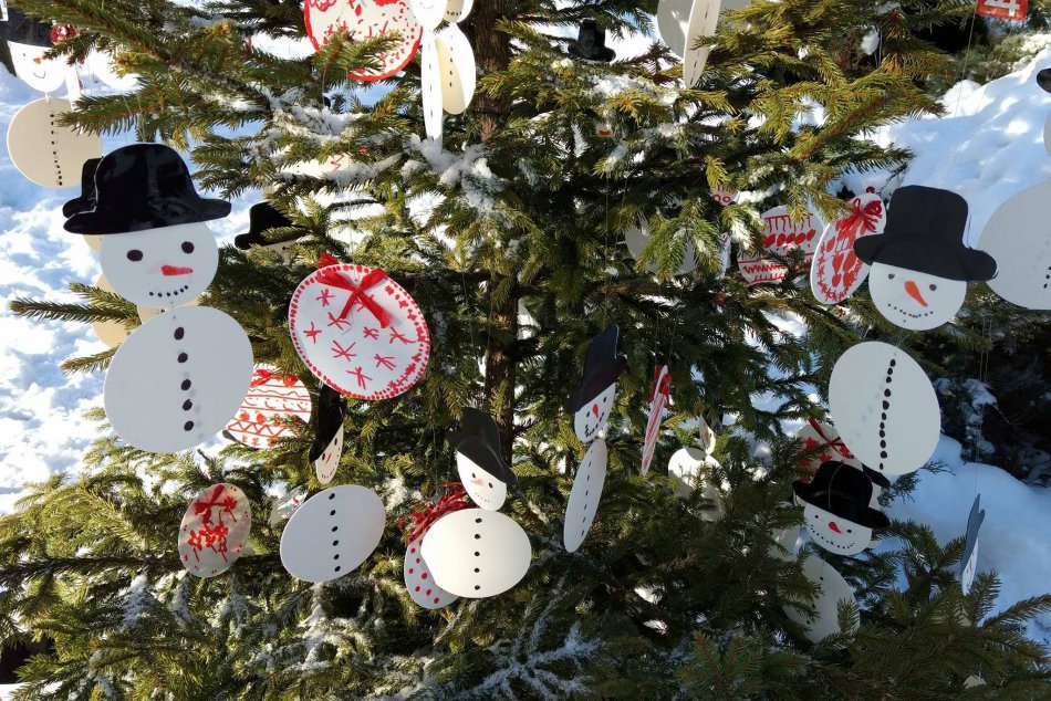 Ilustračný obrázok k článku To je ale krása: V okolí radnice sa môžete pokochať množstvom vianočných stromčekov
