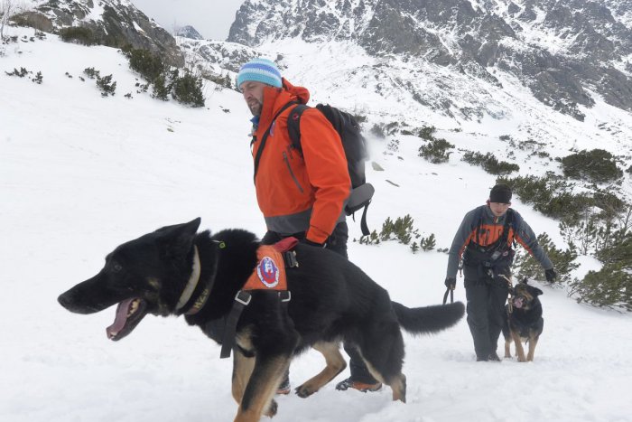 Ilustračný obrázok k článku V Tatrách zabíjala lavína: Vo Veľkej Studenej doline strhla skialpinistu