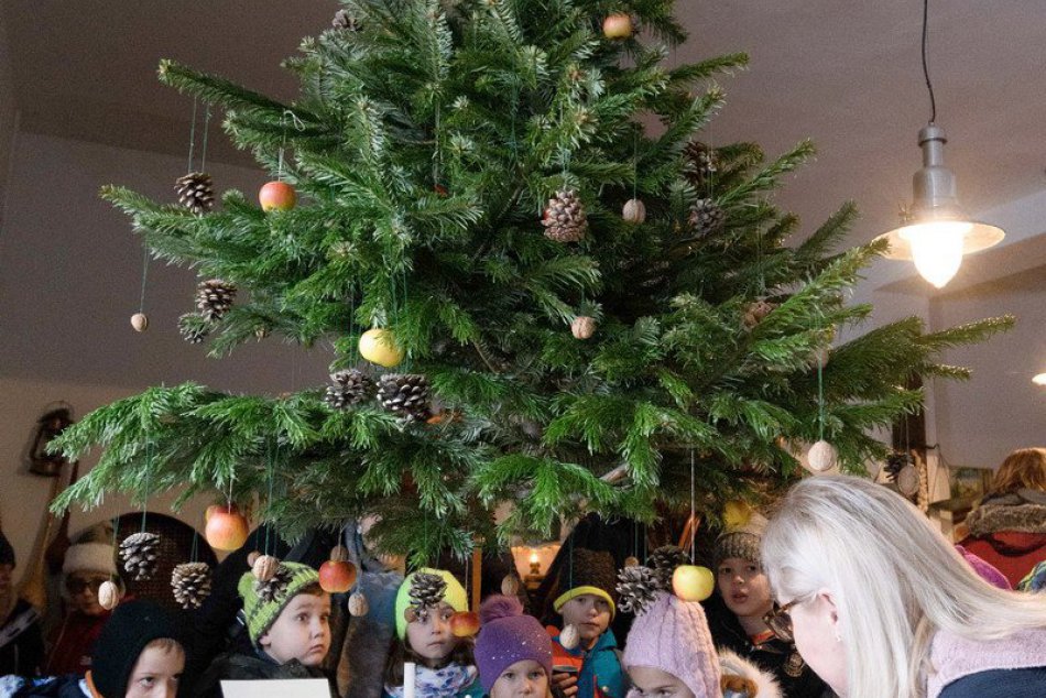 Ilustračný obrázok k článku Zdobenie stromčeka aj detská diskotéka: V Spišskej sa chytá vianočná párty