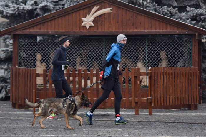 Ilustračný obrázok k článku Onedlho sa v Šali začne bežecké podujatie: Odmenou bude radosť aj vianočný punč