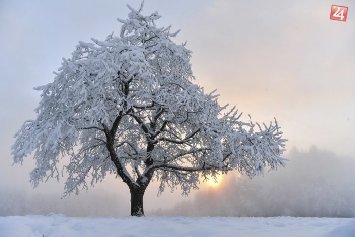 Ilustračný obrázok k článku Aké počasie bude na Vianoce? Bude Štedrý deň na ľade alebo na blate?