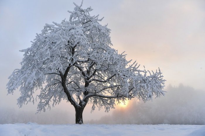 Ilustračný obrázok k článku V Brezne udrú tuhé mrazy: Teploty môžu klesnúť až na -17°C!