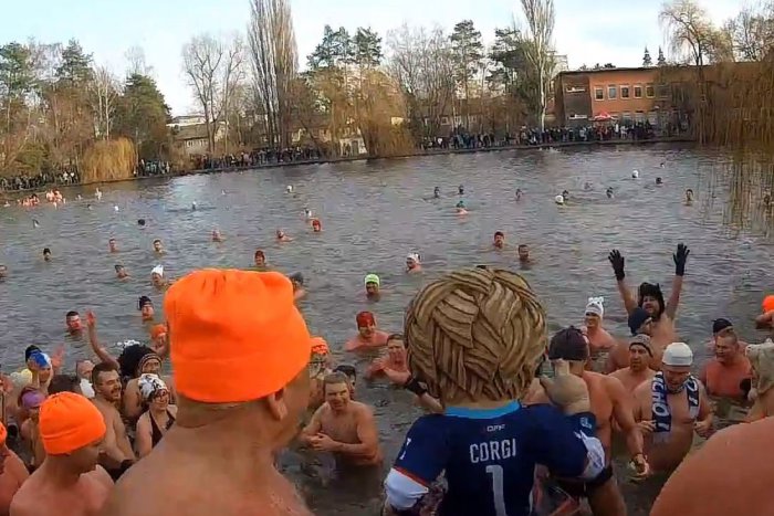 Ilustračný obrázok k článku VIDEO: Hangócka plná ľadových medveďov, otužovanie si užil aj Corgi