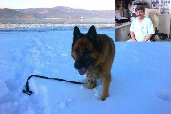 Ilustračný obrázok k článku Novoveský veterinár radí psíčkarom: Informácie, ktoré je dobré cez zimu vedieť!