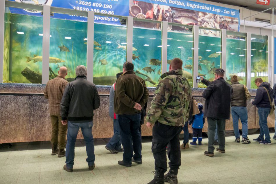 Ilustračný obrázok k článku Obrovské akvárium i svetový unikát: V Nitre začala výstava venovaná prírode, FOTO