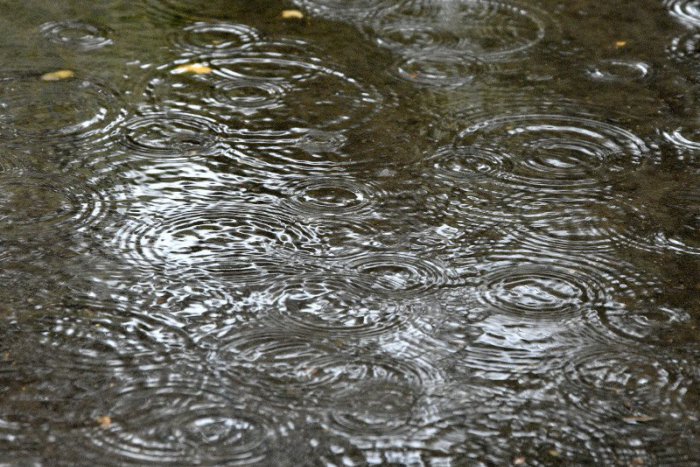 Ilustračný obrázok k článku Nové Zámky pripravili projekt proti neodtekajúcej vode: Ide o Dažďové záhrady