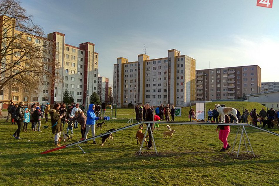 Ilustračný obrázok k článku Na Juhu otvorila novozámocká radnica psí park: Časom zrejme pribudne ďalší, FOTO