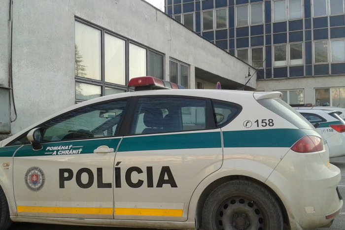 Ilustračný obrázok k článku Natália (26) si zvolila účelovú cestu: S policajtmi z Považskej ale nevybabrala