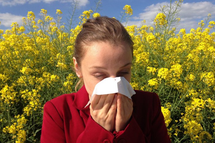 Ilustračný obrázok k článku Alergici pocítili úľavu: Pomáha im chladnejšie počasie so zrážkami