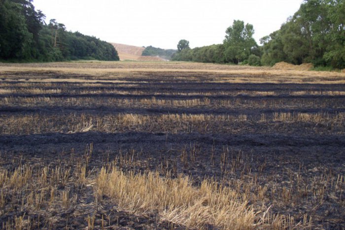 Ilustračný obrázok k článku Hasiči dvíhajú varovný prst pred vypaľovaním trávnikov: Takáto pokuta hrozí!