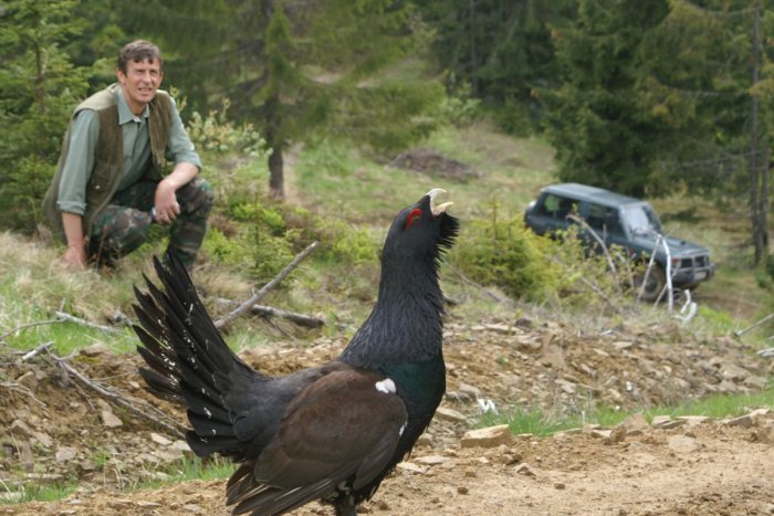 Ilustračný obrázok k článku Chránené územia vzácnych vtáčích druhov zaberajú štvrtinu Slovenska