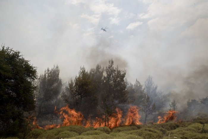 Ilustračný obrázok k článku Oheň v lese pri obci Sihla hasiči uhasili, územie kontrolujú zamestnanci lesov