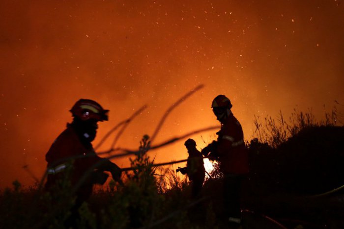 Ilustračný obrázok k článku Na Záhorí mali hasiči plné ruky práce: Pri požiari lesa ich zasahovali dve desiatky