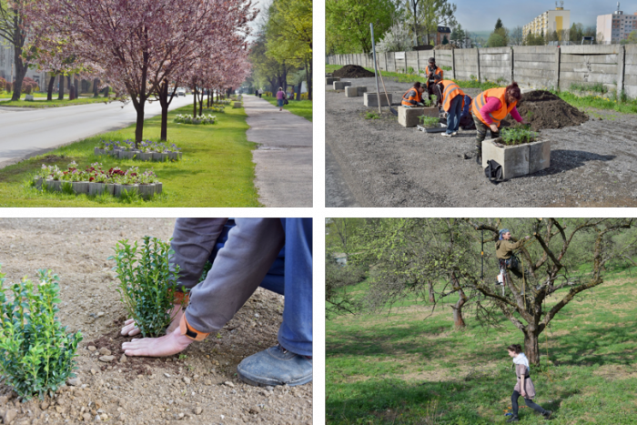 Ilustračný obrázok k článku V OBRAZOCH: Brezno kvitne do krásy, prírode napomáhajú aj pracovníci mesta