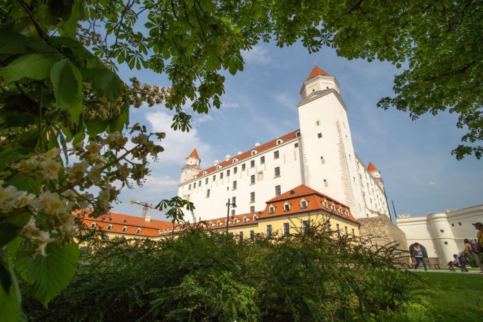 Ilustračný obrázok k článku Bratislava patrí k najzelenším mestám sveta! Umiestnila sa na poprednom mieste v svetovom rebríčku