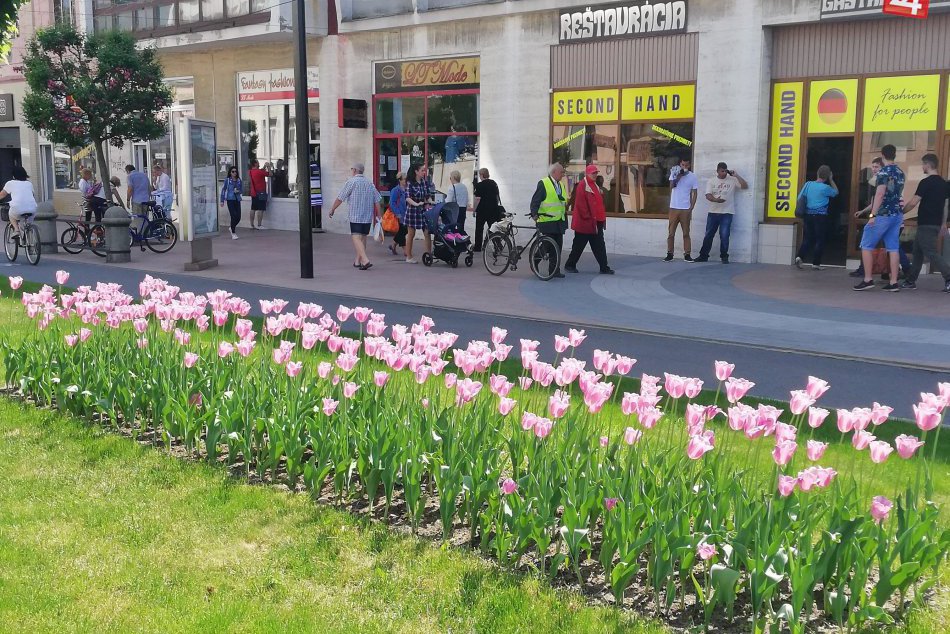 Ilustračný obrázok k článku Čo sa tento týždeň bude diať v Michalovciach? Aj takéto pekné akcie môžete zažiť!