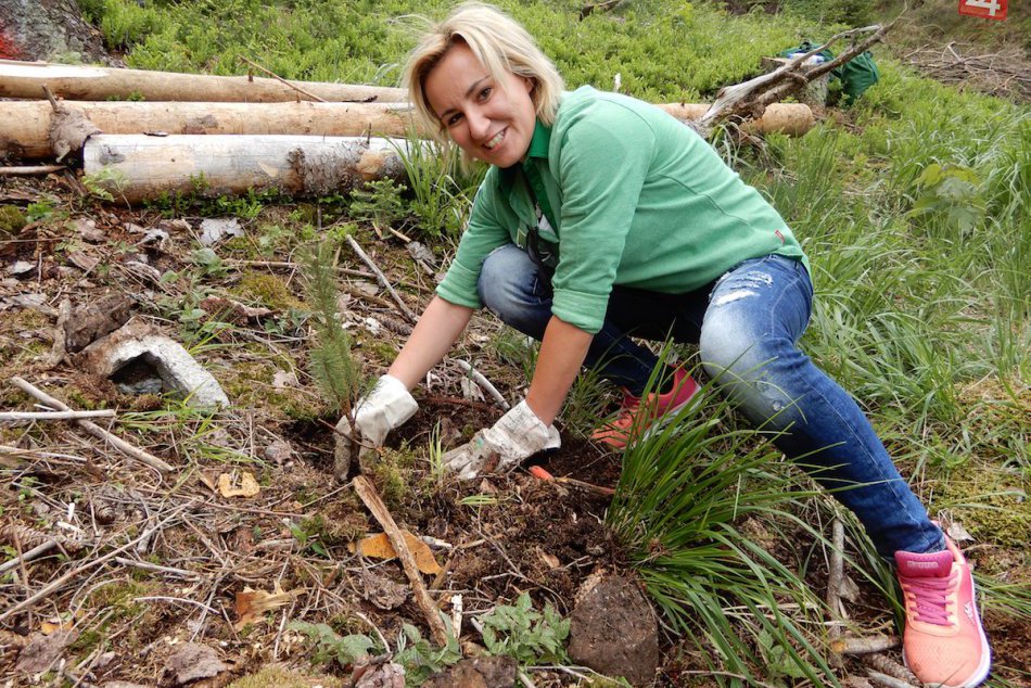 Ilustračný obrázok k článku Palec hore pre dobrovoľníkov: V Malužinej vysadili niekoľko tisíc nových stromčekov, FOTO