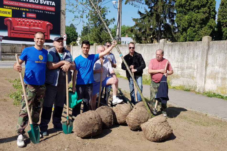 Ilustračný obrázok k článku Trnavskí dobrovoľníci skrášlili Vansovú: Vysadené hrušky vytvoria zelený pás i tieň