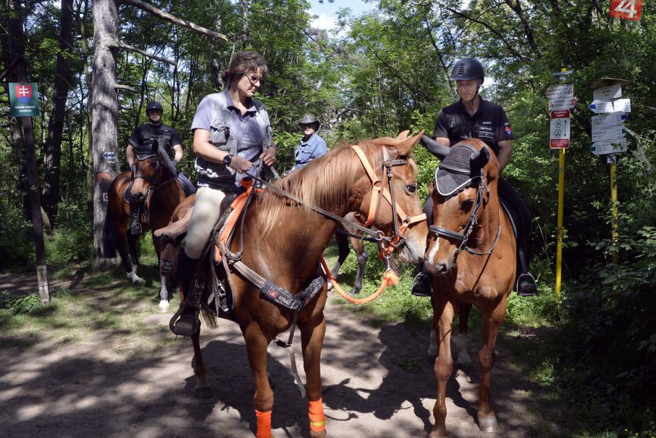 Ilustračný obrázok k článku FOTO: Na poriadok na Zobore dohliadajú zmiešané policajné hliadky na koňoch
