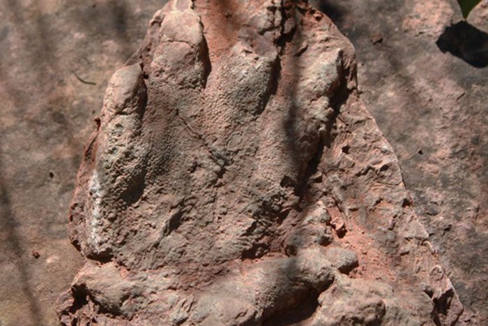 Ilustračný obrázok k článku Nový objav vo Vysokých Tatrách: Dvojica vedcov našla  nové stopy dinosaurov