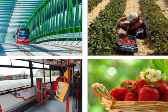 Ilustračný obrázok k článku TOP 5 tém týždňa: Kam sa vybrať na jahody a ako ekonomicky cestovať