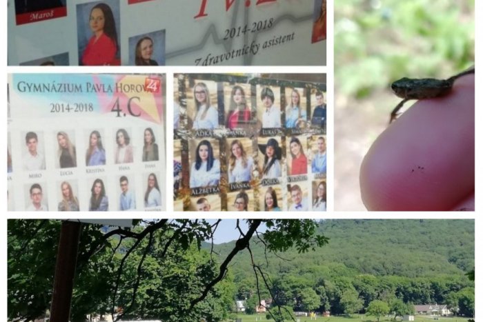 Ilustračný obrázok k článku Urobte si o nich prehľad aj vy: Najúspešnejšie témy tohto týždňa z Michaloviec a okolia