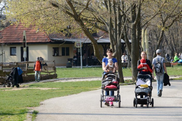 Ilustračný obrázok k článku Autá ohrozujú chodcov v mestskom parku v Nitre: Radnica tam chce osadiť zábranu