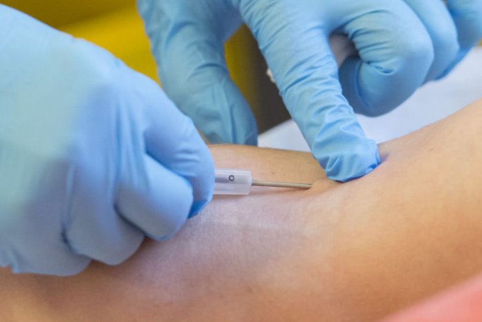 Ilustračný obrázok k článku Stovkám Slovákov odobrali vzorky krvi: Odborníci pripravujú imunologický prehľad