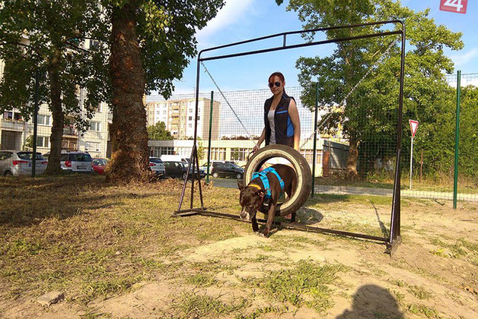 Ilustračný obrázok k článku Ďalšie miesto pre psíčkarov v Zámkoch: Medzi panelákmi pribudol nový výbeh, FOTO