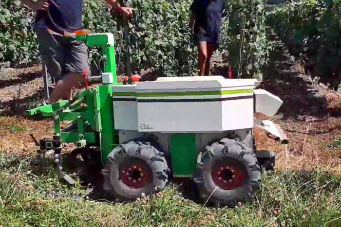 Ilustračný obrázok k článku Novinka uľahčí prácu belgickým farmárom: Malý robot za nich vytrhá burinu