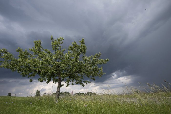Ilustračný obrázok k článku Užite si príjemné letné počasie: Koncom týždňa opäť prídu búrky
