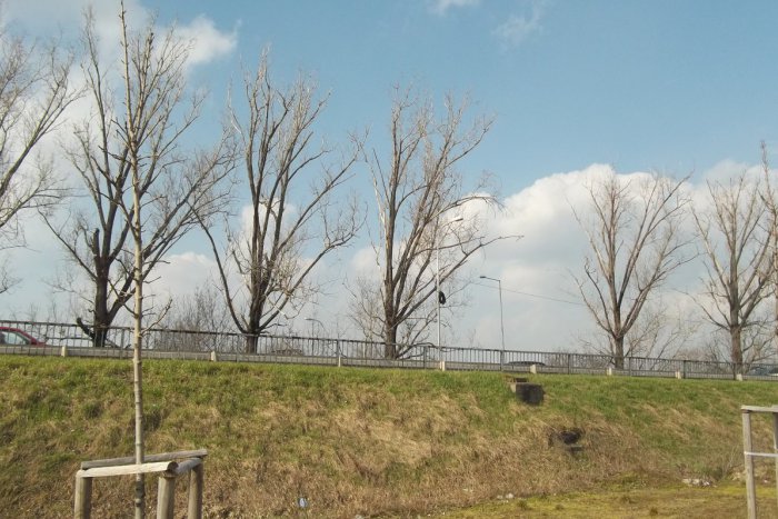 Ilustračný obrázok k článku Poslanci v Šali schválili prenájom pozemkov: Sú potrebné k výstavbe obchvatu