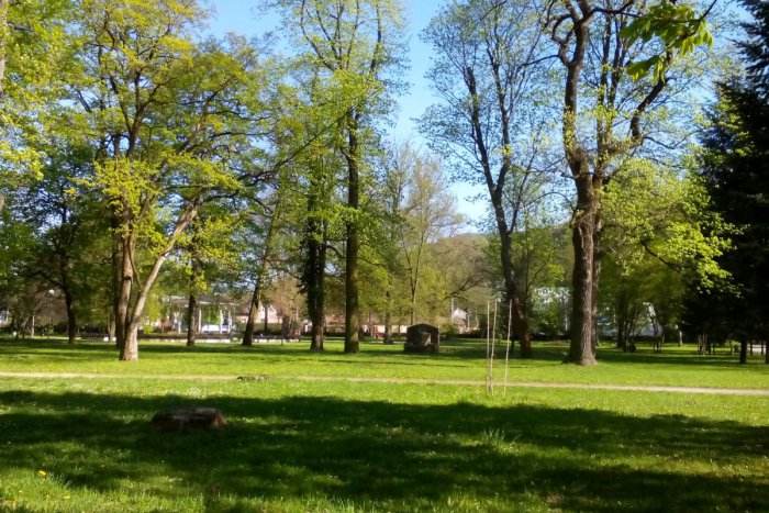 Ilustračný obrázok k článku V parku Štefánika majú vysadiť vyše sto stromov: Na čom sa tam ešte robí?