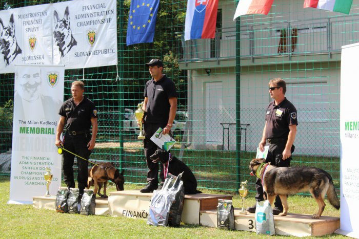Ilustračný obrázok k článku Mimoriadny úspech žilinského psovoda: Ohúril medzinárodnú porotu
