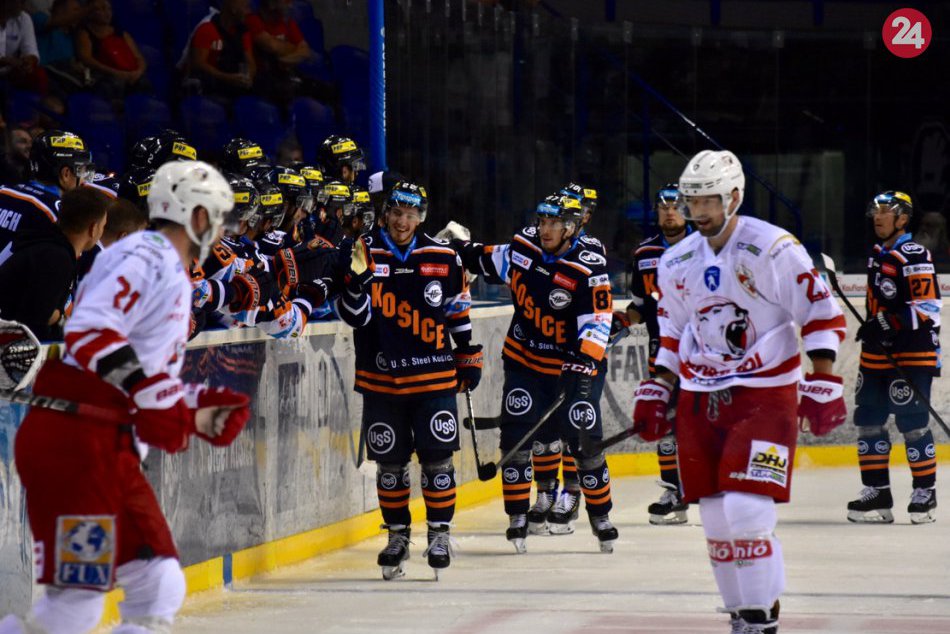 Ilustračný obrázok k článku FOTO: Ľadové medvede nestíhali, maďarského nováčika "vyprášili" domáci