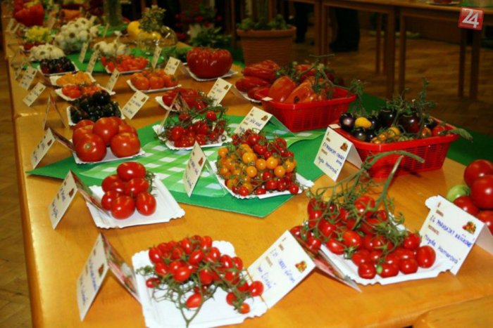 Ilustračný obrázok k článku Najkrajšie kúsky ovocia, zeleniny, aj ochutnávka medu: Záhradkári pozývajú na výstavu