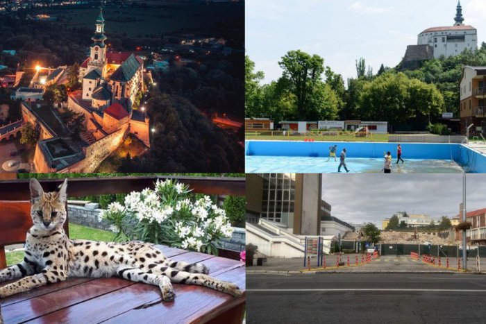 Ilustračný obrázok k článku Týždeň v kocke: Prehľad najčítanejších správ z Nitry za posledné dni