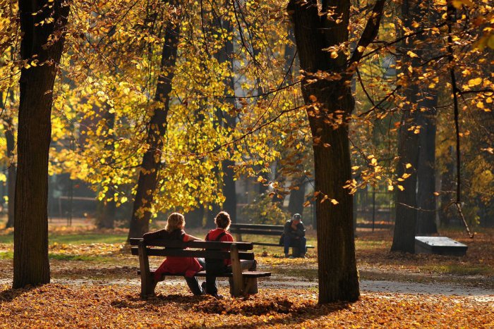 Ilustračný obrázok k článku Suché lístie, kosenie i ošetrovanie rastlín: Mesto Žilina začína s jesennou údržbou