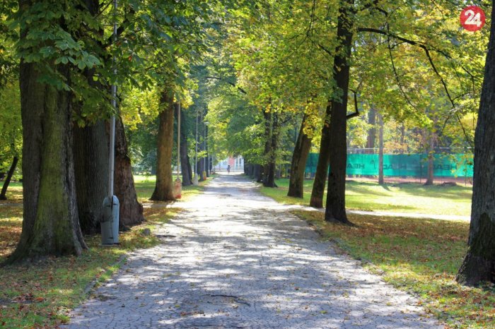 Ilustračný obrázok k článku Mesto chce BEZPEČNÝ park: Tvrdí, že zabezpečí NEZÁVISLÝ dendrologický posudok