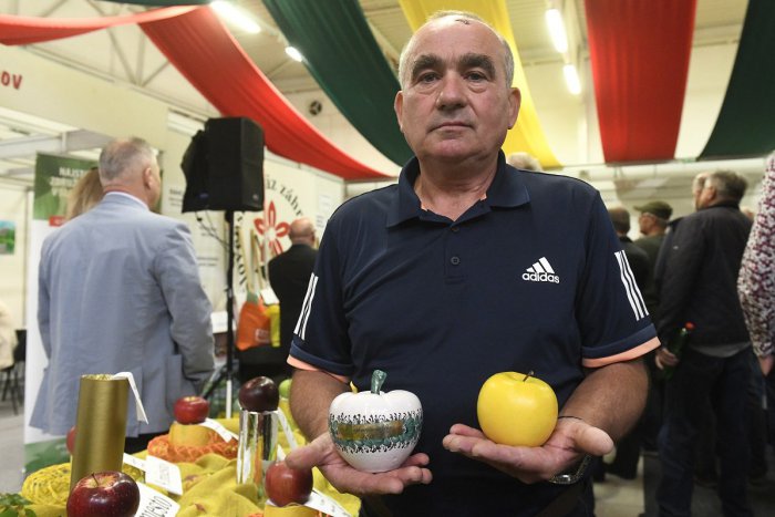 Ilustračný obrázok k článku V Trenčíne ocenili najkrajšie jablko roka: Pozrite tie šťavnaté kúsky! VIDEO