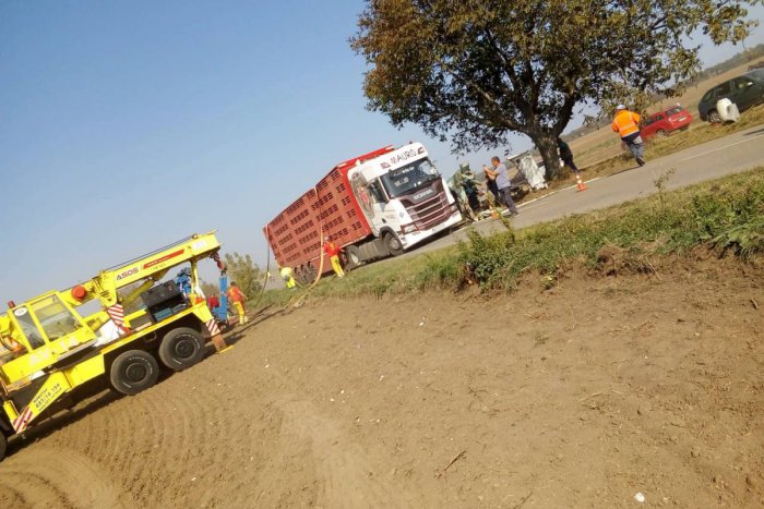 Ilustračný obrázok k článku FOTO: V obci pri Nitre sa na ceste prevrátil kamión s ošípanými, škoda 10-tisíc eur