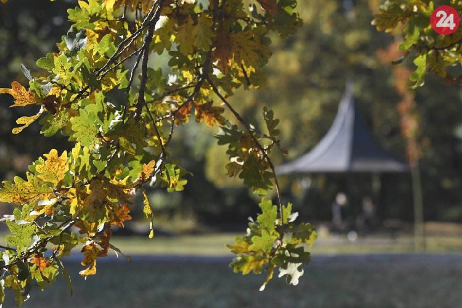 Ilustračný obrázok k článku RANNÁ ŠTVORKA: Štvrtok bude oblačný, pripomíname si Európsky deň jazykov