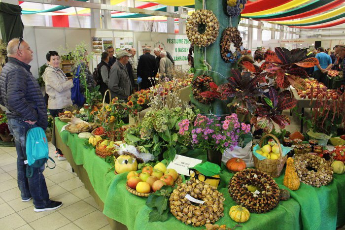 Ilustračný obrázok k článku Tradičná výstava Jahrada v Trenčíne: Krása ovocia na FOTKÁCH