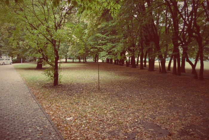 Ilustračný obrázok k článku V humenskom parku bude v nedeľu rušno: Nenechajte si ujsť, čo sa bude diať